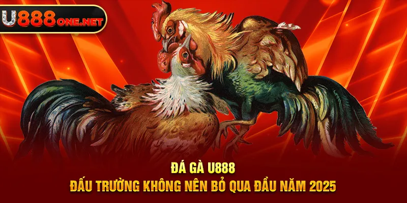 Đá Gà U888 mang đến trải nghiệm giải trí trực tuyến vượt trội