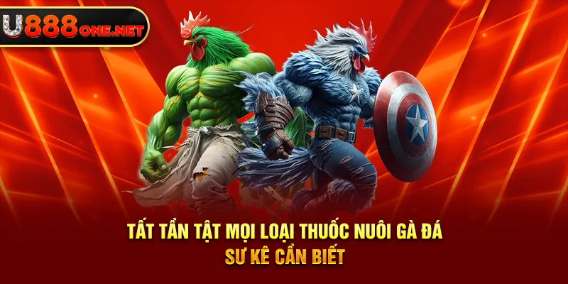 Tất tần tật mọi loại thuốc nuôi gà đá sư kê cần biết