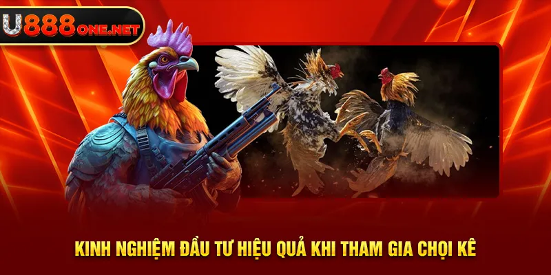 Kinh nghiệm đầu tư hiệu quả khi tham gia chọi kê