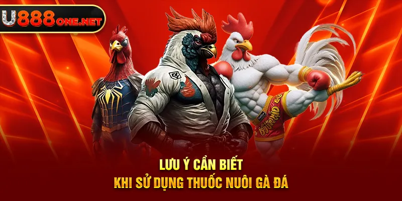 Lưu ý cần biết khi sử dụng thuốc nuôi gà đá