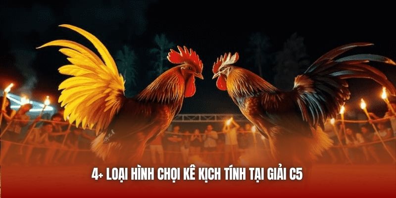 4+ loại hình chọi kê kịch tính tại giải C5