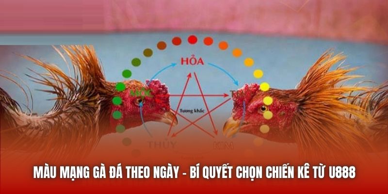 Màu Mạng Gà Đá Theo Ngày - Bí Quyết Chọn Chiến Kê Từ U888