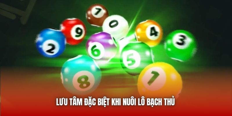 Lưu tâm đặc biệt khi nuôi lô bạch thủ