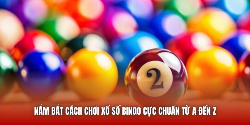 Nắm bắt cách chơi xổ số Bingo cực chuẩn từ A đến Z