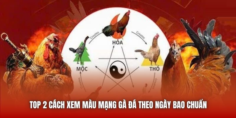 Top 2 cách xem màu mạng gà đá theo ngày bao chuẩn