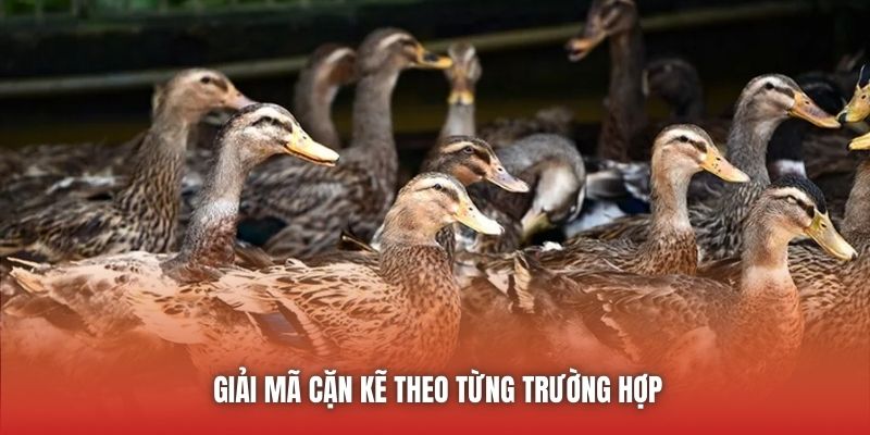 Giải mã cặn kẽ theo từng trường hợp