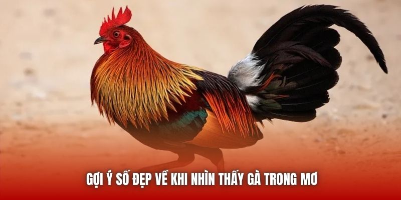 Gợi ý số đẹp về khi nhìn thấy gà trong mơ