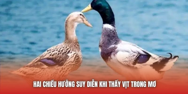 Hai chiều hướng suy diễn khi nằm mơ thấy vịt